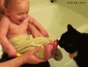 Baby GIF. Dieren Baby Verpleging Gifs Voeden 