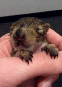 Baby GIF. Baby Gifs Gelukkige verjaardag Freecocaine Ava gardner 