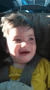 Baby GIF. Dieren Liefde Schattig Puppy Baby Laboratorium Gifs Hond Likken 