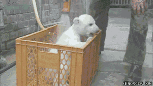 Baby GIF. Baby Gifs Lp Photosets 