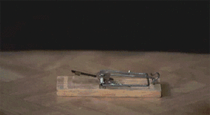 Baby GIF. Dansen Baby Gifs Avontuur tijd Fin Buff kindje 