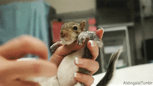 Baby GIF. Baby Gifs Gelukkige verjaardag Freecocaine Ava gardner 
