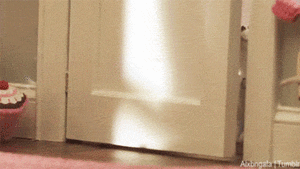 Baby GIF. Baby Gifs Gelukkige verjaardag Freecocaine Ava gardner 