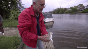 Zooey Deschanel GIF. Dieren Baby Gifs Filmsterren Zooey deschanel  Teef Omgaan Nieuw meisje Jess Lizzy caplan Nemen dat 
