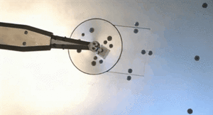 Baby GIF. Dieren Baby Gezicht Gifs Likken Rollen Fret 