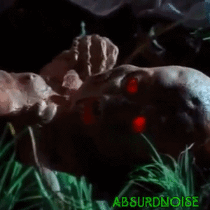 Baby GIF. Dieren Liefde Schattig Natuur Water Baby Gifs  Leven Dier Mooi Zoet Schoonheid Kind 