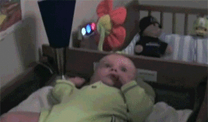 Honden GIF. Dieren Liefde Schattig Puppy Baby Laboratorium Gifs Hond Likken 
