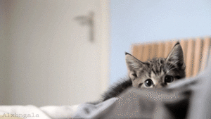 Baby GIF. Baby Sexy Gifs Heet Remy lacroix 