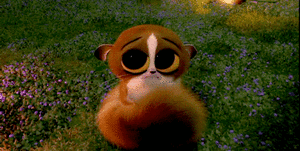 Baby GIF. Schattig Baby Madagascar Gifs Mort 