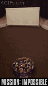 Baby GIF. Baby Gifs Vrolijkheid Cory monteith 