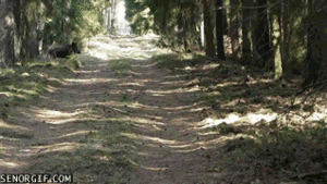 Baby GIF. Bioscoop Baby Thee Gifs Jacksgap Finn harries 
