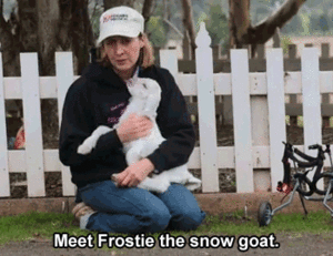 Baby GIF. Dieren Baby Gifs Filmsterren Zooey deschanel  Teef Omgaan Nieuw meisje Jess Lizzy caplan Nemen dat 