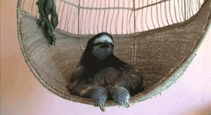 Baby GIF. Baby Gifs Zeeschildpad Aanbiddelijk De mijne Cutie Doorboren de sluier Tony perry Dansfe 