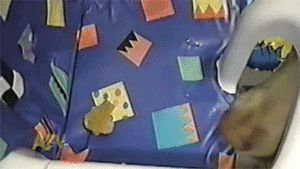Baby GIF. Baby Dom Gifs Shaytards Rocktard Schattige baby Kiekeboe Peekaboo 