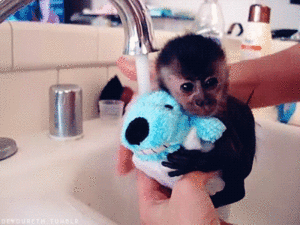 Baby GIF. Baby Engel Prinses Gifs Miss een Jia Gif: missen Ik bracht 80 jaar het verplaatsen 