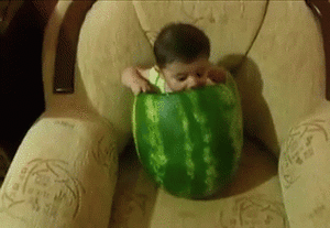 Baby GIF. Baby Gifs Kardashian Kendall jenner Kuwtk 