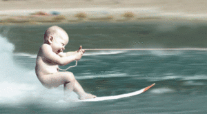 Baby GIF. Dieren Baby Kat Gifs Rollend Nudging Wrijven 