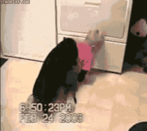 Baby GIF. Dieren Olifant Baby Gifs Rechts 