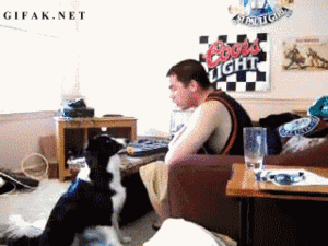 Baby GIF. Ijs Baby Gifs Glad 