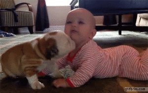 Baby GIF. Baby Gifs Gelukkige verjaardag Freecocaine Ava gardner 