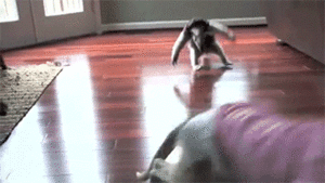 Baby GIF. Katten Baby Kat Gifs Vliegend 15folds Daddy November2012 Superheros Ustwo 