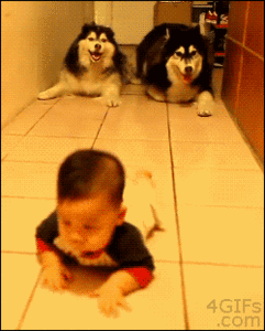 Baby GIF. Katten Baby Kat Gifs Vliegend 15folds Daddy November2012 Superheros Ustwo 
