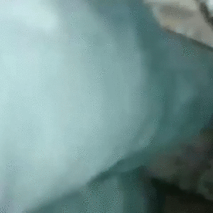 Baby GIF. Baby Engel Prinses Gifs Miss een Jia Gif: missen Ik bracht 80 jaar het verplaatsen 