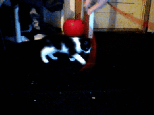 Baby GIF. Baby Ruimte Gifs Dans Gelukkig Aanbiddelijk Rotoscope Schattig 3 jaar oude is erg blij om 