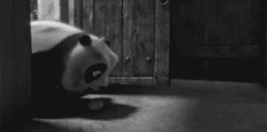 Baby GIF. Baby Gifs Gelukkige verjaardag Freecocaine Ava gardner 
