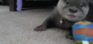 Baby GIF. Baby Engel Prinses Gifs Miss een Jia Gif: missen Ik bracht 80 jaar het verplaatsen 