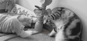 Baby GIF. Dieren Baby Verpleging Gifs Voeden 