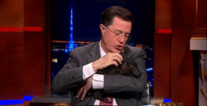 Zooey Deschanel GIF. Dieren Baby Gifs Filmsterren Zooey deschanel  Teef Omgaan Nieuw meisje Jess Lizzy caplan Nemen dat 