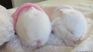 Baby GIF. Dieren Olifant Baby Mama Gifs Kijken Cthulhu 