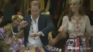 Baby GIF. Dieren Baby Leeuw Gifs Partij Zo hongerig Hes slechts een kleine zebra Leeuw probeert bab 