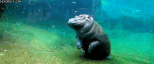 Baby GIF. Dragon ball z Grappig Baby Gifs Grappige baby Kamekameha 