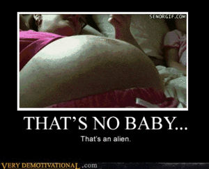 Baby GIF. Baby Gifs Het eten Luiaard Luiaards 