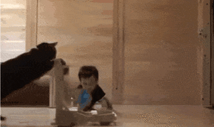 Baby GIF. Baby Engel Prinses Gifs Miss een Jia Gif: missen Ik bracht 80 jaar het verplaatsen 