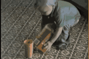Baby GIF. Baby Eekhoorn Gifs 