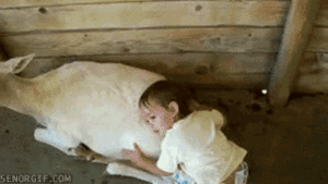 Baby GIF. Jongen Muziek Baby Haar Zwart Gifs Glimlachen Kellin quinn 
