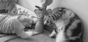 Baby GIF. Baby Gifs Vallend Dronken kindje Hik 