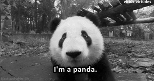Baby GIF. Schattig Baby Gifs  Gif Vos Animatie overheersing highdef Animatie overheersing Vos adhd 
