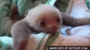 Baby GIF. Liefde Baby Gifs Gif Perfect &eacute;&eacute;n richting Harry stijlen 1d &eacute;&eacute 