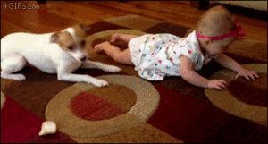 Baby GIF. Dieren Olifant Baby Gifs Gelukkig 
