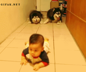 Baby GIF. Baby Gifs Gelukkige verjaardag Freecocaine Ava gardner 