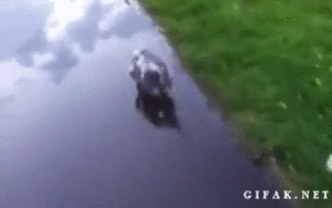 Baby GIF. Baby Gifs Parken en rec 