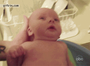 Baby GIF. Dieren Olifant Baby Gifs Dag 