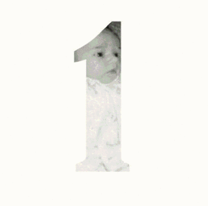 Baby GIF. Dieren Schattig Baby Egel Gifs Geeuw 