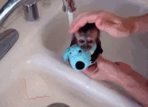 Baby GIF. Baby Gifs Buit Thats0jack Thatsojack 