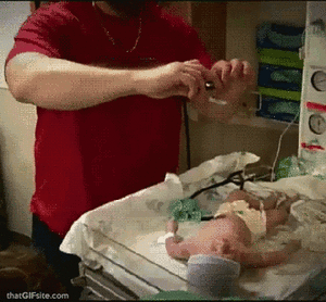 Baby GIF. Dieren Baby Kat Springend Gifs Geanimeerde Aanval Verdienden 