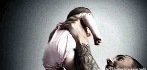Olifant GIF. Dieren Olifant Baby Gifs Kijken Romp 